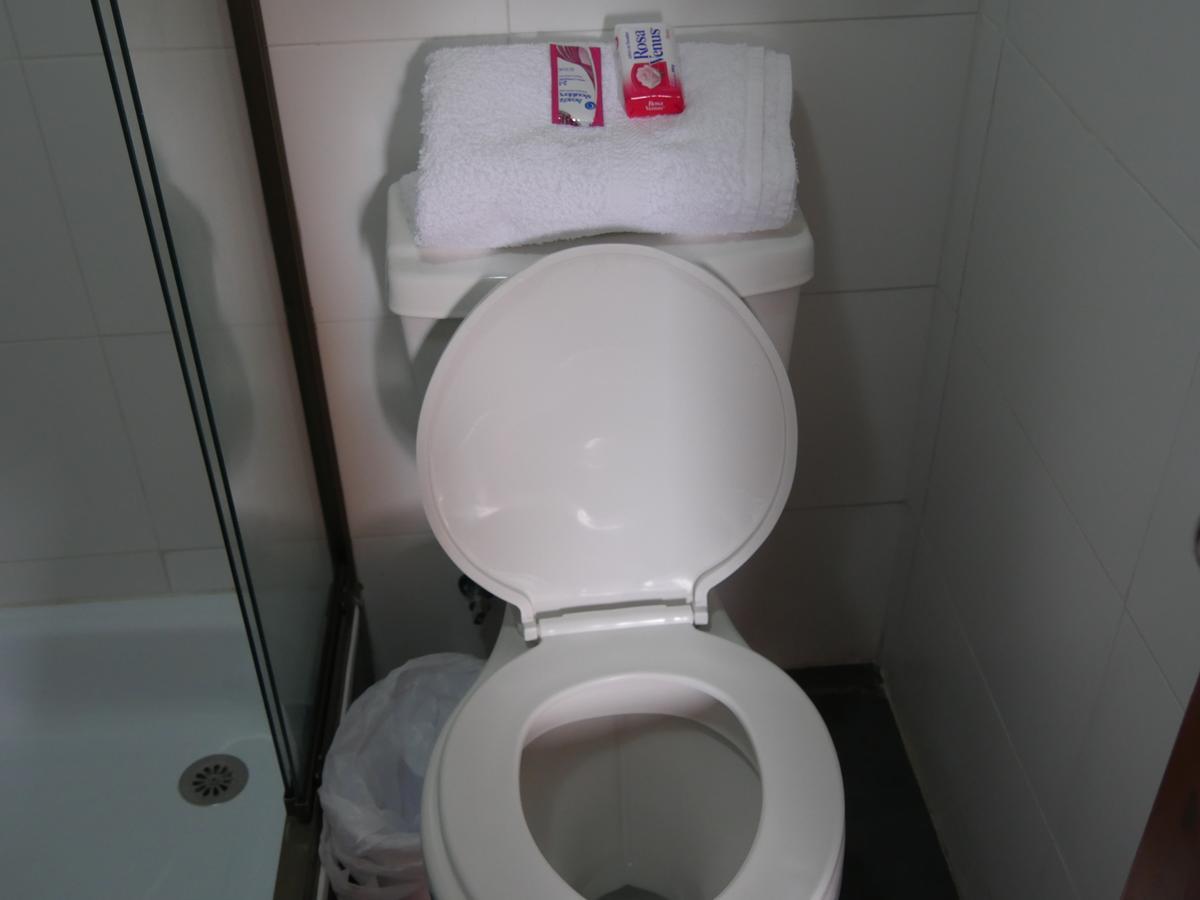 Hotel Camilo Henriquez Concepción Екстериор снимка
